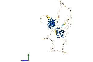AlphaFold protein structure predicition of Human Recombinant LHX5 Protein, UniprotID Q9H2C1