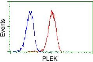 Image no. 1 for anti-Pleckstrin (PLEK) antibody (ABIN1500266) (Pleckstrin antibody)