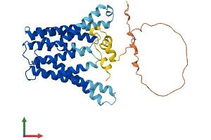 AlphaFold protein structure predicition of Human Recombinant TMEM185B Protein, UniprotID Q9H7F4 (TMEM185B Protein (AA 1-350) (His tag))