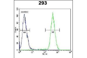 Flow cytometric analysis of 293 cells (right histogram) compared to a negative control cell (left histogram). (CAMLG antibody  (AA 111-138))