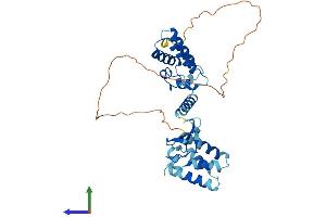 AlphaFold protein structure predicition of Human Recombinant TCEA3 Protein, UniprotID O75764