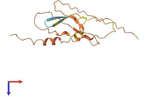 HLA Complex P5 (Non-Protein Coding) (HCP5) (AA 1-132) protein (His tag)