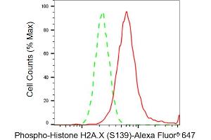 Flow cytometric analysis of Phospho-Histone H2A. (Recombinant H2AFX antibody  (H2A.XS139ph))