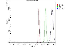 Flow Cytometry analysis of U937 cells using anti-ODF2L antibody (ABIN7601202). (ODF2L antibody  (AA 3-610))