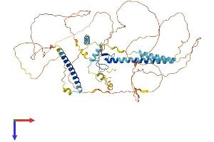 GATAD2A Protein (AA 1-633) (His tag)