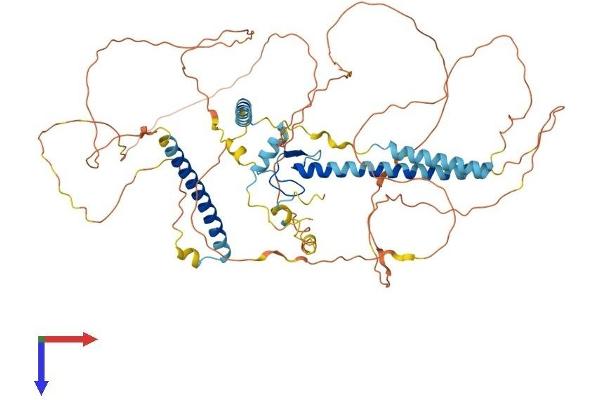 GATAD2A Protein (AA 1-633) (His tag)