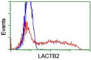 HEK293T cells transfected with either RC201465 overexpress plasmid (Red) or empty vector control plasmid (Blue) were immunostained by anti-LACTB2 antibody (ABIN2454346), and then analyzed by flow cytometry. (LACTB2 antibody)