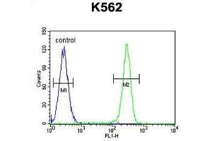 TNFSF4 Antibody (Center) flow cytometric analysis of K562 cells (right histogram) compared to a negative control cell (left histogram).