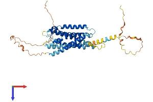 AlphaFold protein structure predicition of Human Recombinant GPR19 Protein, UniprotID Q15760 (GPR19 Protein (AA 1-415) (His tag))