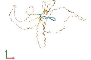 AlphaFold protein structure predicition of Human Recombinant KRTAP29-1 Protein, UniprotID A8MX34
