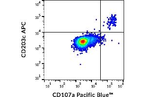 Flow cytometry multicolor staining pattern of human IgE-stimulated PBMC stained using anti-human CD107a (H4A3) Pacific Blue and anti-human CD203c (NP4D6) APC.