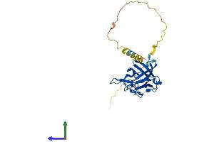 Protein Structure (PS) image for Fibroblast Growth Factor 12 (FGF12) (AA 1-243) protein (His tag) (ABIN7556583)