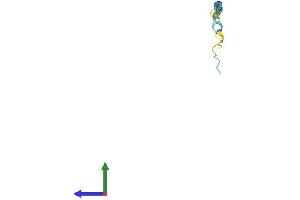AlphaFold protein structure predicition of Human Recombinant SPRR2A Protein, UniprotID P35326 (SPRR2A Protein (AA 1-72) (Fc Tag))