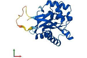 AlphaFold protein structure predicition of Human Recombinant EMC8 Protein, UniprotID O43402