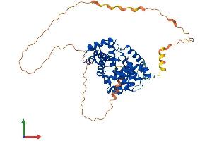 AlphaFold protein structure predicition of Human Recombinant CCNB1 Protein, UniprotID P14635 (Cyclin B1 Protein (CCNB1) (AA 1-433) (His tag))