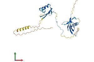 AlphaFold protein structure predicition of Human Recombinant UBXN2A Protein, UniprotID P68543