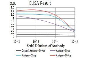 ELISA image for anti-Thyroid Stimulating Hormone, beta (TSHB) (AA 20-139) antibody (ABIN5542677)