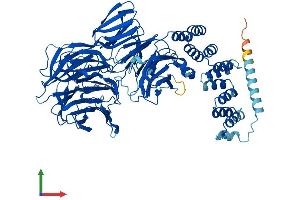 AlphaFold protein structure predicition of Human Recombinant IFT80 Protein, UniprotID Q9P2H3 (IFT80 Protein (AA 1-777) (His tag))
