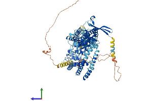 AlphaFold protein structure predicition of Mouse Recombinant Trpv6 Protein, UniprotID Q91WD2