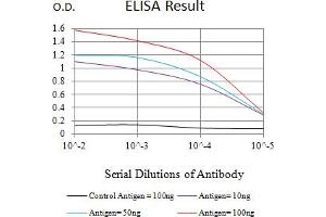 Black line: Control Antigen (100 ng),Purple line: Antigen (10 ng), Blue line: Antigen (50 ng), Red line:Antigen (100 ng) (BNIP3L/NIX antibody  (AA 1-187))