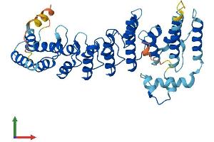 AlphaFold protein structure predicition of Human Recombinant ASB6 Protein, UniprotID Q9NWX5 (ASB6 Protein (AA 1-421) (His tag))