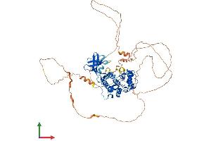 AlphaFold protein structure predicition of Human Recombinant MAK Protein, UniprotID P20794