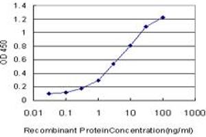 Detection limit for recombinant GST tagged HOXD11 is approximately 0. (HOXD11 antibody  (AA 1-76))