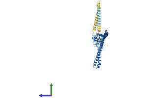AlphaFold protein structure predicition of Mouse Recombinant Trim59 Protein, UniprotID Q922Y2 (TRIM59 Protein (AA 1-403) (His tag))