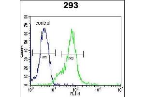 LGALS9B Antibody (Center) (ABIN654023 and ABIN2843944) flow cytometric analysis of 293 cells (right histogram) compared to a negative control cell (left histogram). (LGALS9B antibody  (AA 160-188))