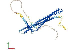 AlphaFold protein structure predicition of Human Recombinant ARFIP2 Protein, UniprotID P53365