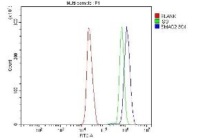 Flow Cytometry analysis of HL-60 cells using anti-SMAD2 antibody (ABIN7602542).