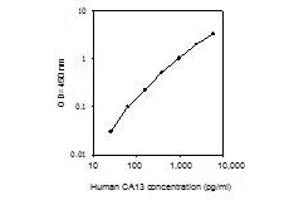 ELISA image for Carbonic Anhydrase XIII (CA13) ELISA Kit (ABIN4882032) (CA13 ELISA Kit)