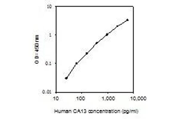 CA13 ELISA Kit