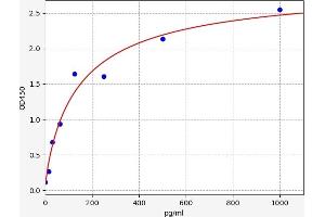 Typical standard curve (ENOS ELISA Kit)