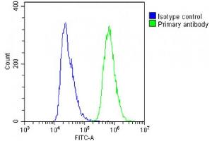 Overlay histogram showing A431 cells stained with (ABIN6243400 and ABIN6578788)(green line). (NSFL1C antibody  (AA 214-248))