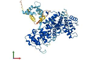 Protein Structure (PS) image for Plastin 1 (PLS1) (AA 1-629) protein (His tag) (ABIN7550898)