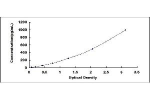 Typical standard curve (PLGF ELISA Kit)