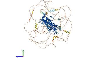 AlphaFold protein structure predicition of Mouse Recombinant Anln Protein, UniprotID Q8K298