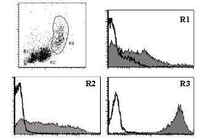 Flow Cytometry (FACS) image for anti-CD9 (CD9) antibody (ABIN1449261) (CD9 antibody)