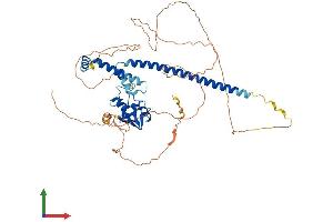 AlphaFold protein structure predicition of Human Recombinant GMEB2 Protein, UniprotID Q9UKD1