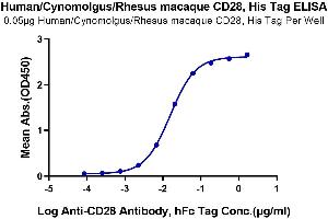 Immobilized Human/Cynomolgus/Rhesus macaque CD28, His Tag at 0. (CD28 Protein (CD28) (AA 19-152) (His-Avi Tag))
