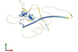 AlphaFold protein structure predicition of Human Recombinant SFPQ Protein, UniprotID P23246 (SFPQ Protein (AA 1-707) (His tag))