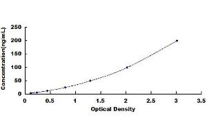 C1QBP ELISA Kit