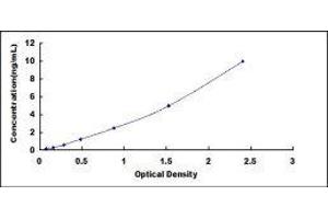 Bone Morphogenetic Protein Receptor 1A (BMPR1A) ELISA Kit