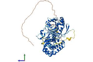 AlphaFold protein structure predicition of Human Recombinant DENND6A Protein, UniprotID Q8IWF6 (FAM116A Protein (AA 1-608) (His tag))