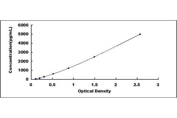 MMP23B ELISA Kit