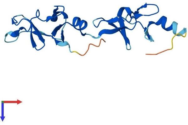 LMO1 Protein (AA 1-156) (His tag)