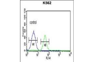 Flow Cytometry (FACS) image for anti-Folate Hydrolase 1B (FOLH1B) (AA 155-183) antibody (ABIN651259)