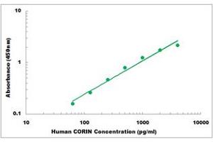 Representative Standard Curve (Corin ELISA Kit)