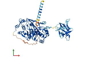 Protein Structure (PS) image for Williams-Beuren Syndrome Chromosome Region 17 (WBSCR17) (AA 1-558) protein (His tag) (ABIN7547969)